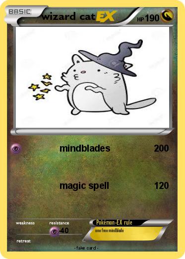 Pokemon wizard cat