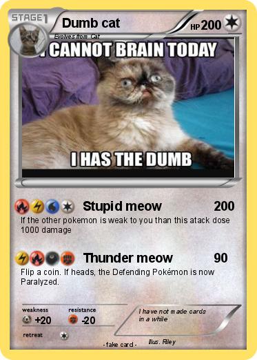 Pokemon Dumb cat