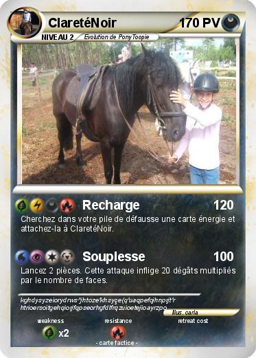 Pokemon ClaretéNoir