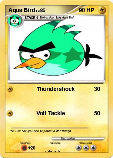 Pokemon Aqua Bird