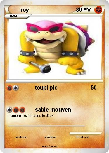 Pokemon roy