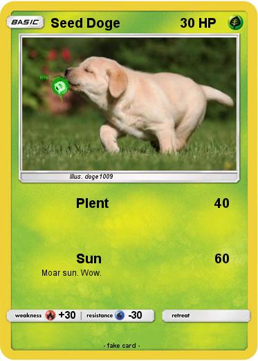 Pokemon Seed Doge