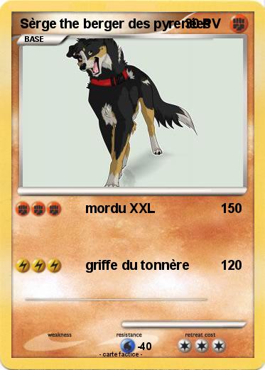 Pokemon Sèrge the berger des pyrenées