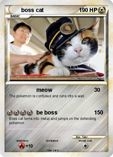 Pokemon boss cat