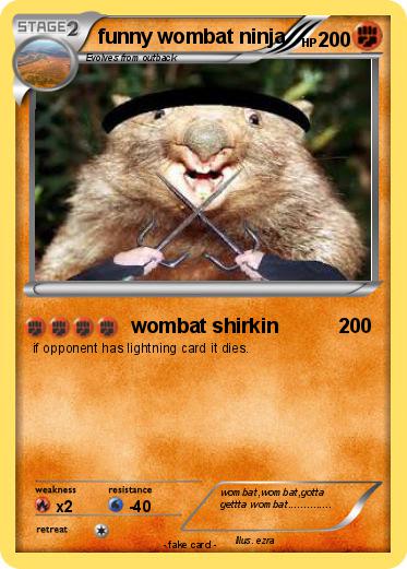 Pokemon funny wombat ninja