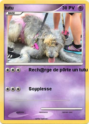Pokemon tutu