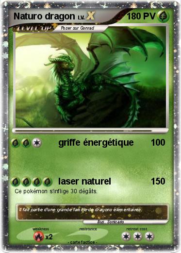 Pokemon Naturo dragon