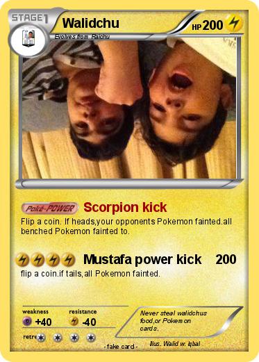 Pokemon Walidchu