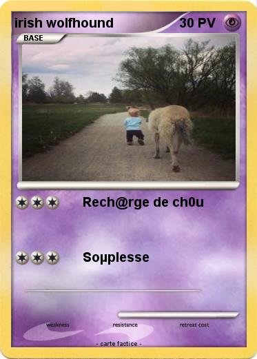 Pokemon irish wolfhound