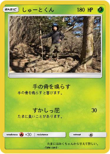 Pokemon しゅーとくん