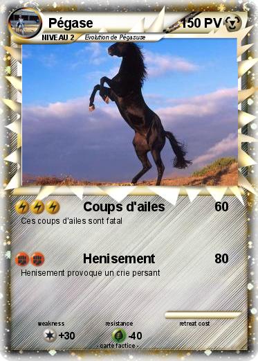 Pokemon Pégase