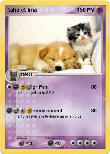 Pokemon taho et lina
