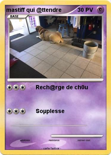 Pokemon mastiff qui @ttendre