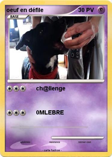 Pokemon oeuf en défile