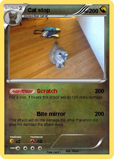 Pokemon Cat stop