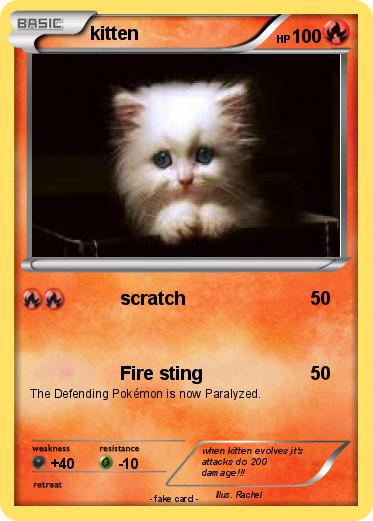 Pokemon kitten