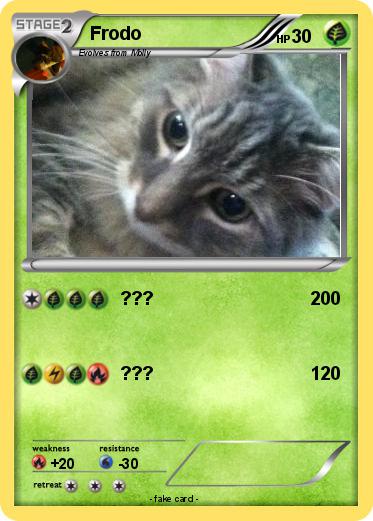Pokemon Frodo