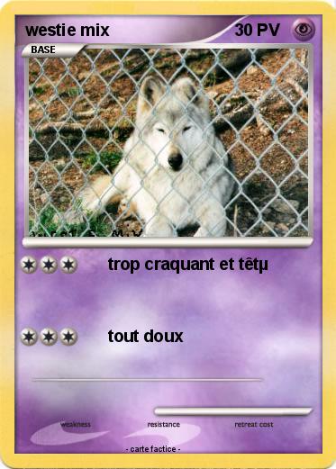 Pokemon westie mix