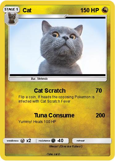 Pokemon Cat