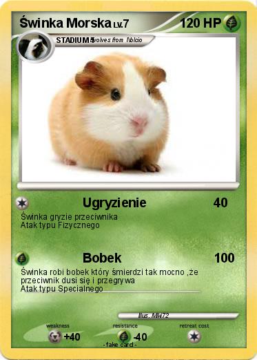 Pokemon Świnka Morska