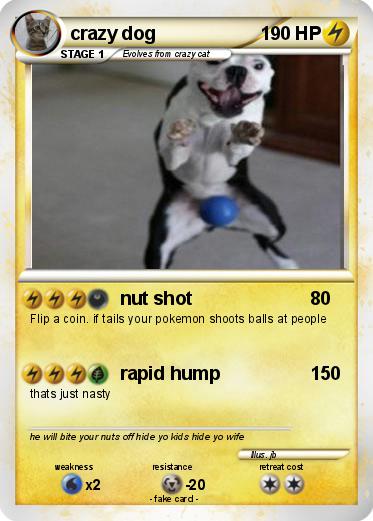 Pokemon crazy dog