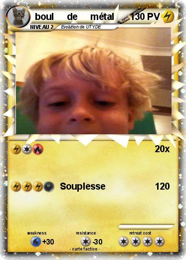 Pokemon boul     de     métal