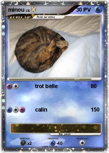 Pokemon minou