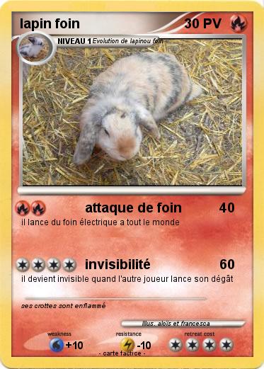 Pokemon lapin foin