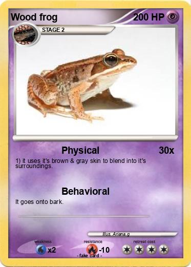 Pokemon Wood frog