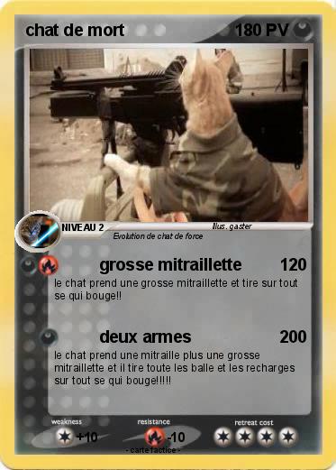 Pokemon chat de mort