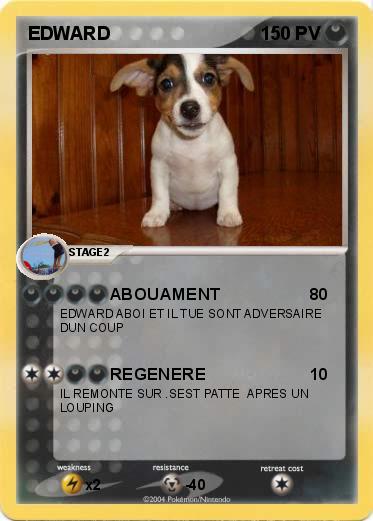 Pokemon EDWARD