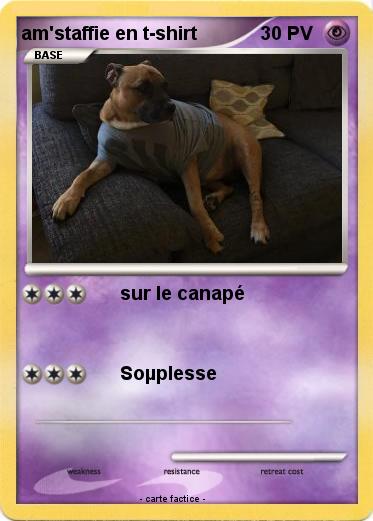 Pokemon am'staffie en t-shirt