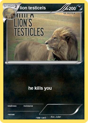 Pokemon lion testicels