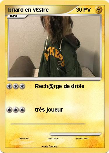 Pokemon briard en v£stre
