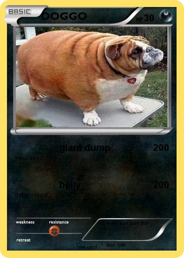 Pokemon DOGGO