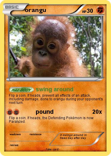 Pokemon orangu