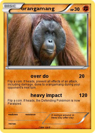 Pokemon orangamang
