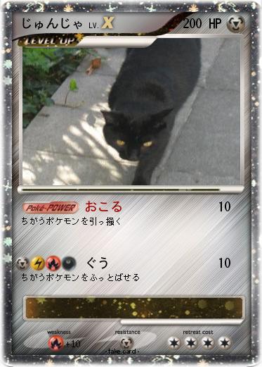 Pokemon じゅんじゃ