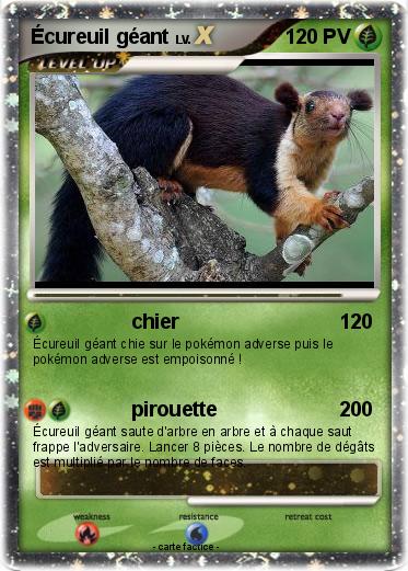 Pokemon Écureuil géant