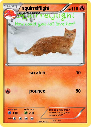 Pokemon squirrelflight