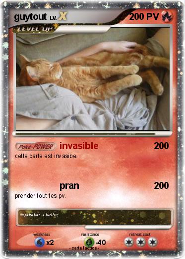 Pokemon guytout