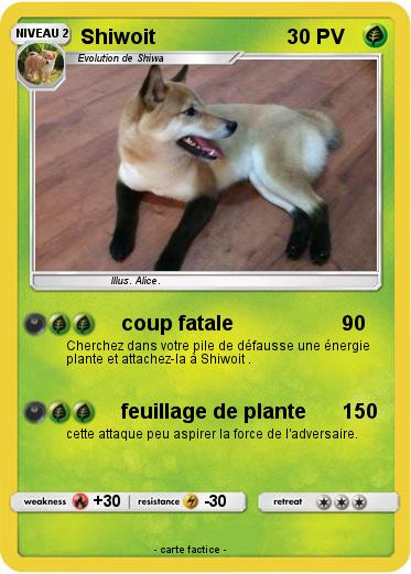 Pokemon Shiwoit