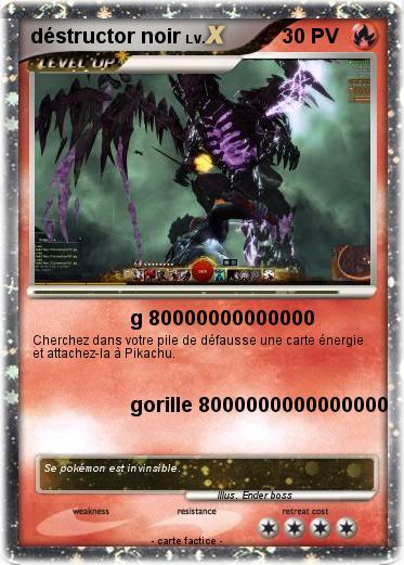 Pokemon déstructor noir