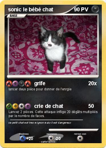 Pokemon sonic le bébé chat