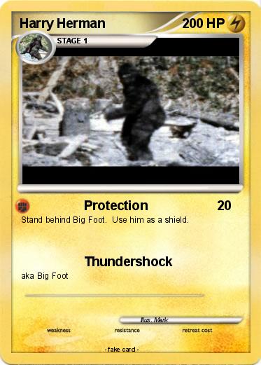 Pokemon Harry Herman