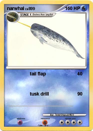 Pokemon narwhal