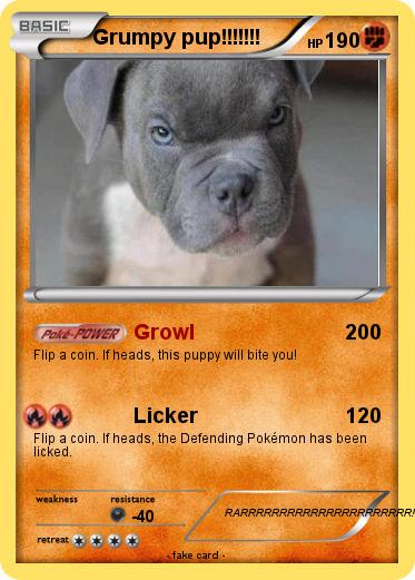 Pokemon Grumpy pup!!!!!!!