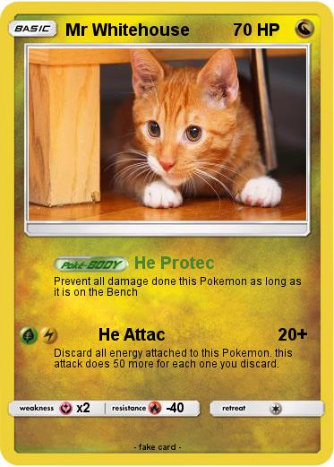 Pokemon Mr Whitehouse