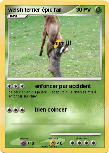 Pokemon welsh terrier épic fail