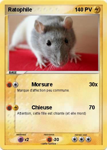 Pokemon Ratophile